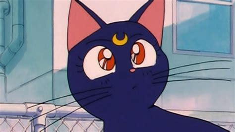 Sailor Moon S Luna Explained