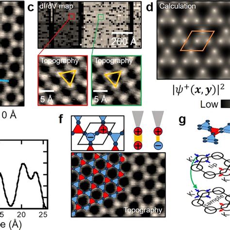 Scanning Tunneling Microscopy Stm Measurements On Fesn A Optical Download Scientific Diagram