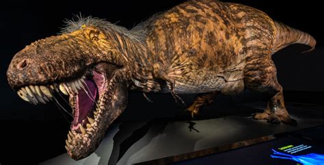 7 Facts About a Scientifically Accurate T Rex