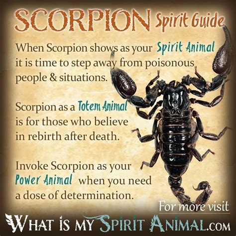 Scorpion Symbol Meaning