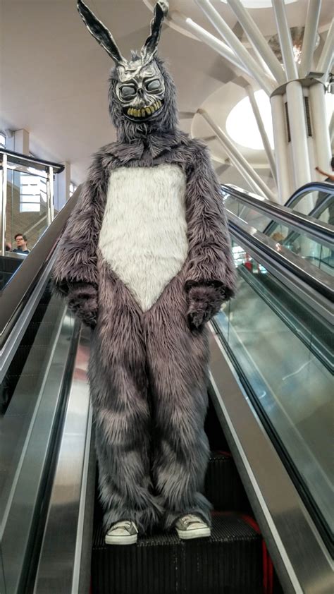 Self Repost From R Donniedarko R Creepy My Cosplay As Frank The Bunny Donnie Darko R