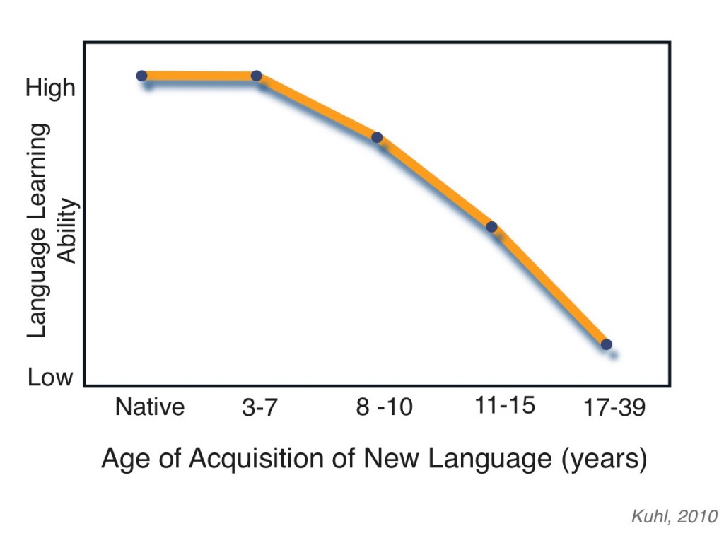 Sensitive Period In Development Can Best Be Described As