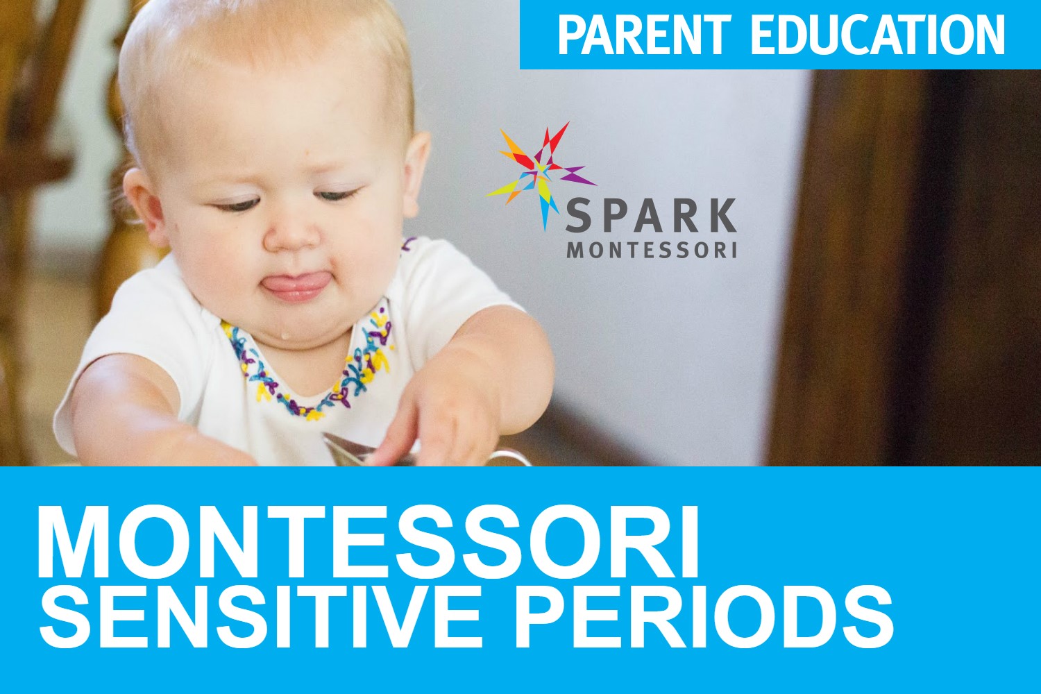 Sensitive Periods In Montessori Education