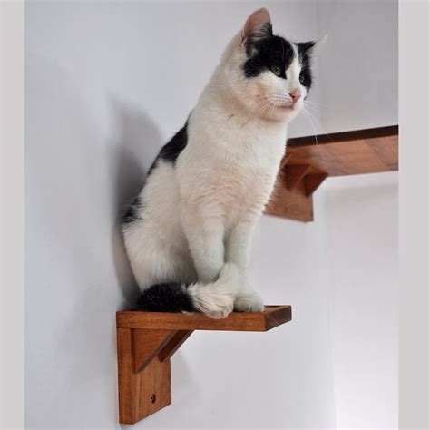 Set Of 3 Cat Steps Wall Mounted Cat Steps Cat Stairway Cat S Cozy