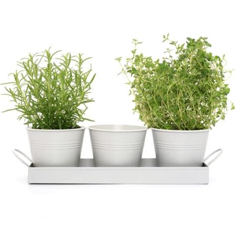 Set Of 3 Indoor Window Plant Pots Tray Chalk White Coloured