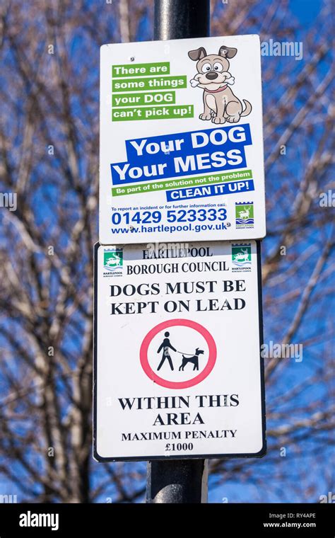 Signs About Dog Mess And Keeping Dogs On A Lead In Hartlepool England