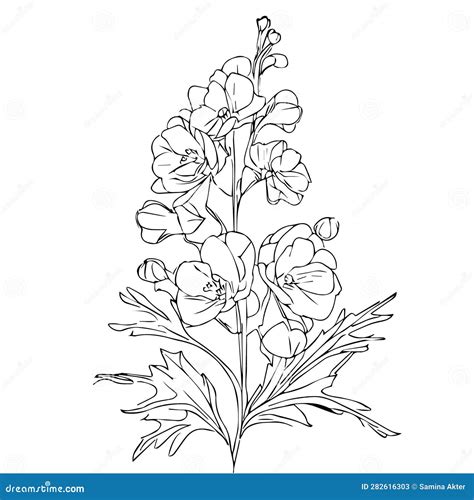 Simple Larkspur Flower Drawing Outline Larkspur Flower Drawing Larkspur Drawing Easy July