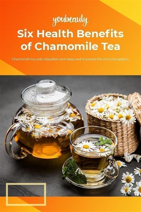 Six Health Benefits Of Chamomile Tea Youbeauty