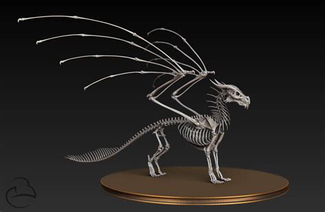 7 Amazing Facts About the Skeleton of a Dragon