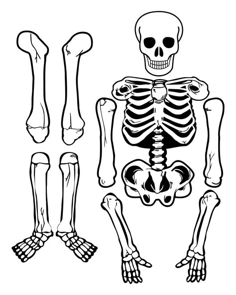 5 Free Skeleton Printables