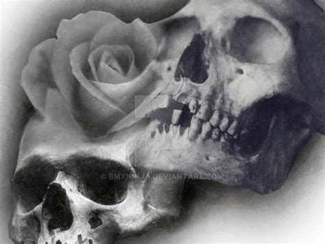 Skull And Roses 2 By Rodgerpister On Deviantart