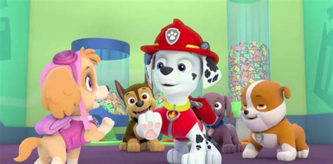 Skye Paw Patrol Skye Paw Patrol Photo 40153959 Fanpop Page 23