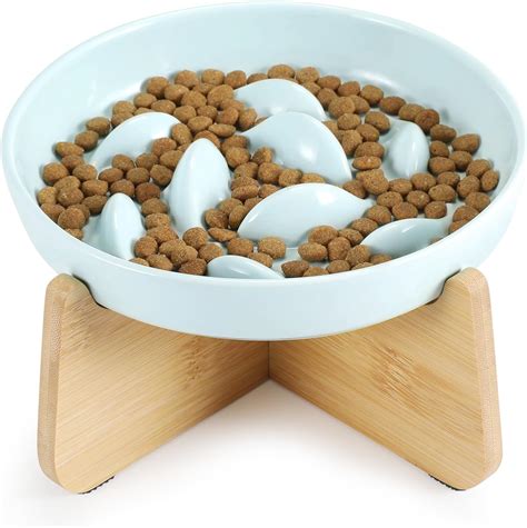 Slow Eating Cat Bowl for Healthy Meal Time