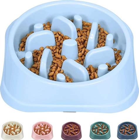 Slow Feeder Bowls for Cats: Reduced Gobbling Guaranteed