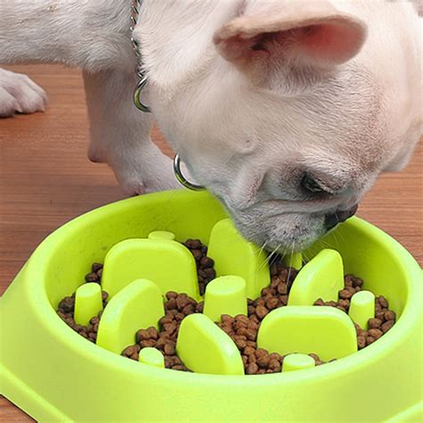 Benefits of Slow Feeding Dog Bowls