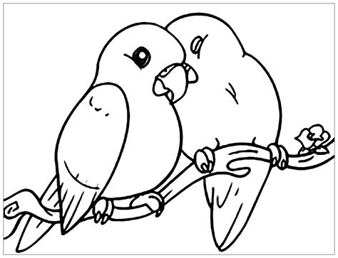 Small Birds Bird Coloring Pages For Kids