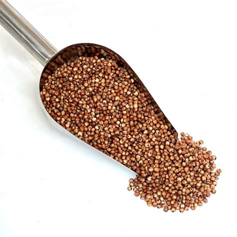 Sorghum Red The Osem Shop