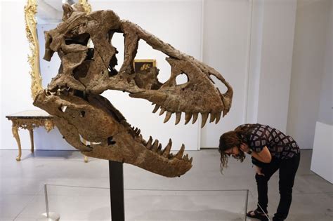 Sotheby S To Auction One Of The Most Complete T Rex Skulls Ever