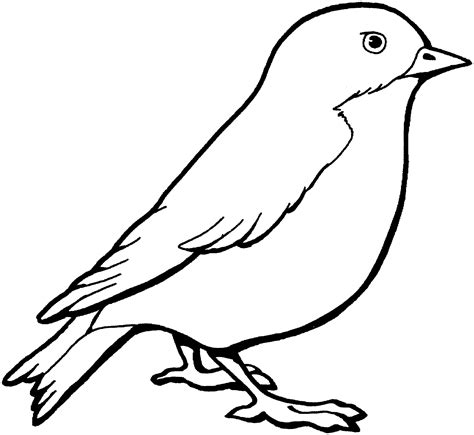 Sparrow Coloring Online Super Coloring Bird Coloring Pages Simple