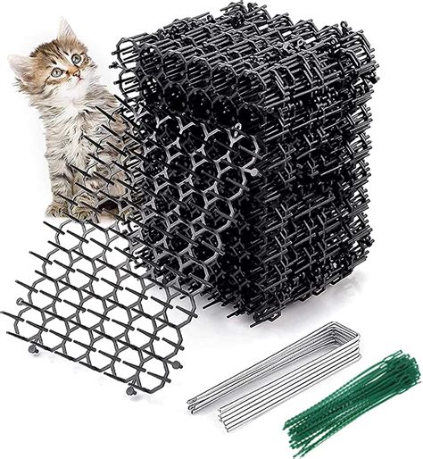 5 Ways Spikes Cat Deterrent Works