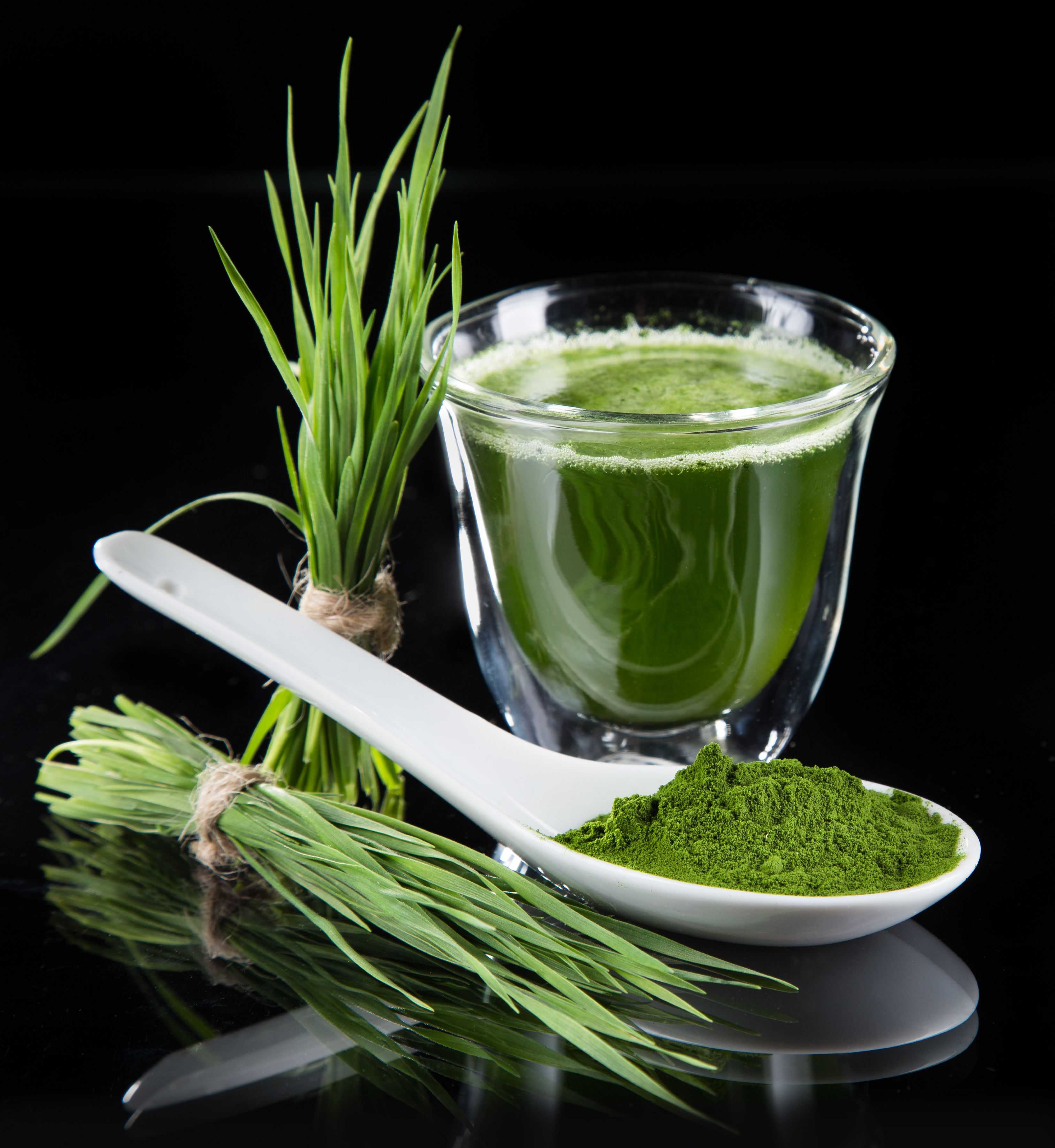 Spirulina Certainly Earns Its Superfood Status