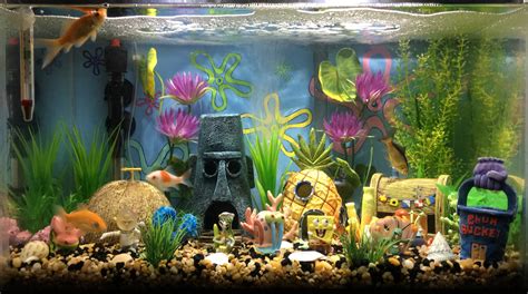 SpongeBob Fish Tank Setup and Care Guide