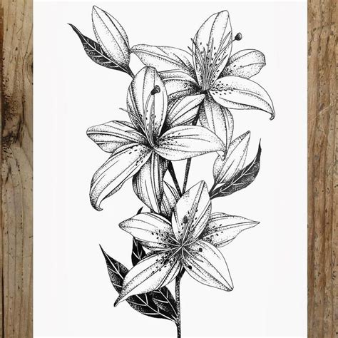 Steph Rostron On Instagram Lilies Steph Rostron On Instagram