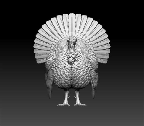 Stl File Turkey Bird 3D Printing Model To Download Cults