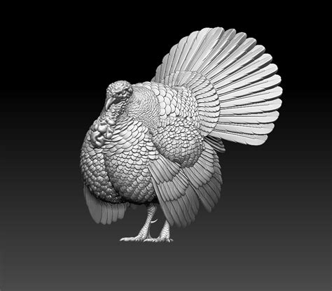 Stl Turkey Bird 3D Cults