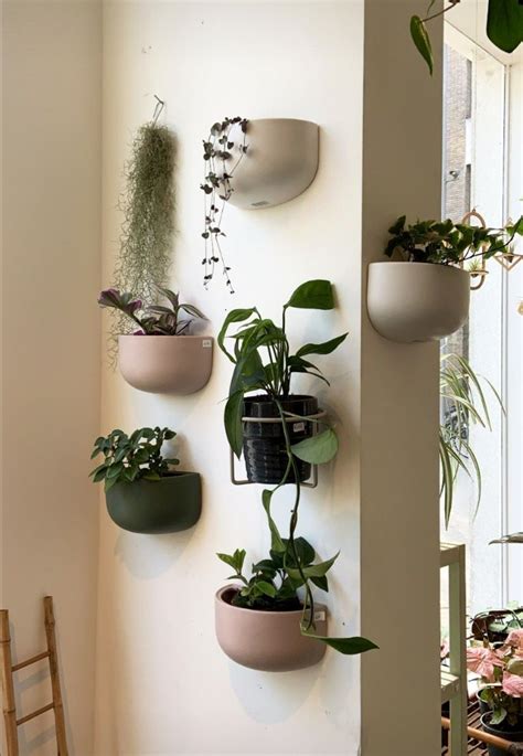 Stunning Hanging Plant Pot Designs To Elevate Your Indoor Garden How To