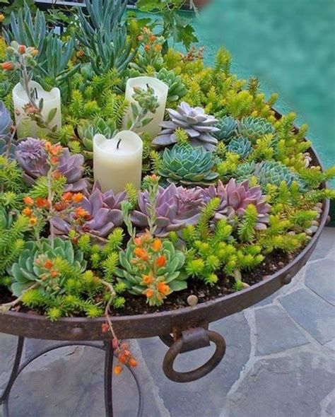 7 Unique Succulent Plant Containers You'll Love