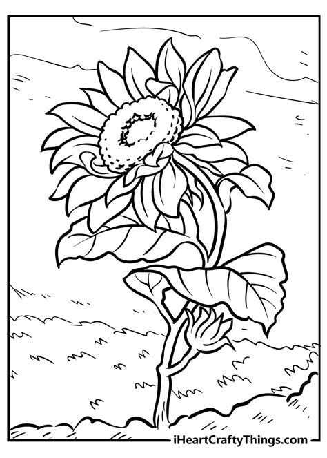 Sunflower Coloring Pages Updated 2021