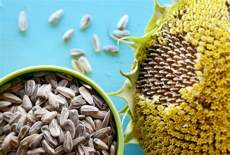 5 Ways to Enjoy Sunflower Seeds