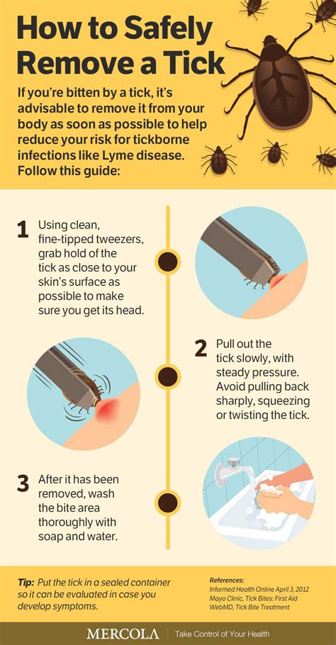 Survival Goddess Two Ways To Safely Remove Ticks