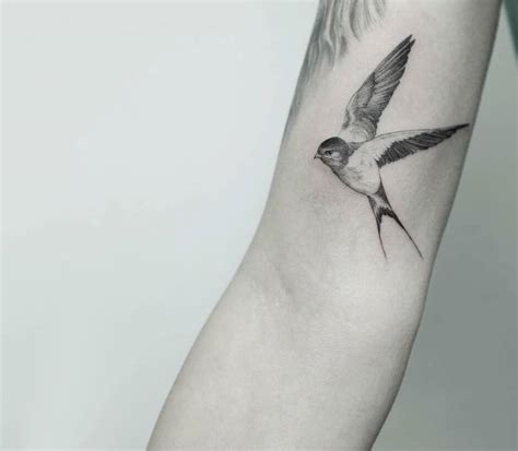 Swallow Tattoo By Daniel Berdiel Photo 31619