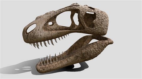 T Rex Skull Buy Royalty Free 3D Model By R3dgraphics 50A5512