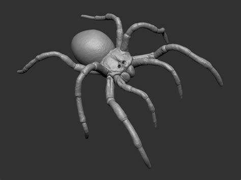 Tarantula Spider 3D Model 3D Printable Cgtrader