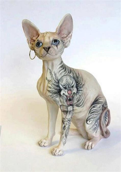 Sphynx Cat Tattoo Designs for Feline Lovers - Military and Veteran