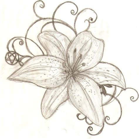 Tattoo Lily Flower Line Drawing Hadza Property