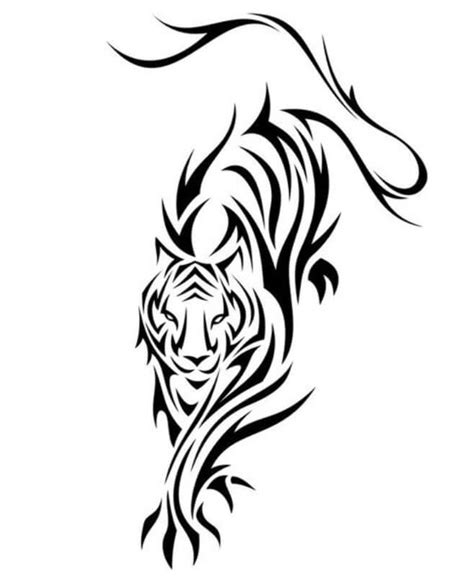 Tiger Tribal Tattoo Designs and Meanings Explained