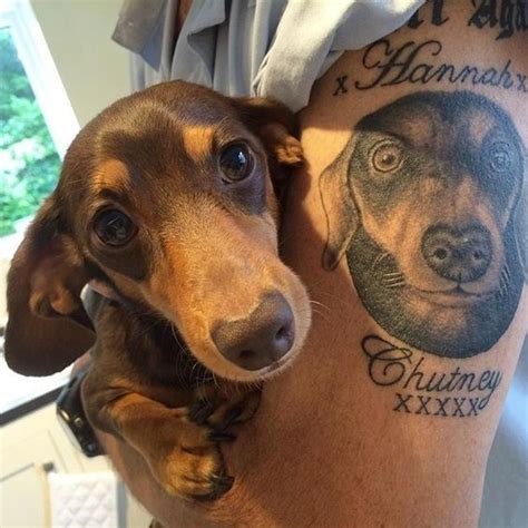 The 24 Amazing Dachshund Tattoo Designs The Dogman