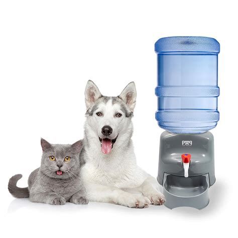 The Best Dog Water Dispensers