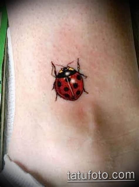 The Meaning Of A Ladybird Tattoo Features Of The Picture Photos Of Finished Tattoos Sketches