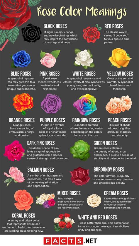 The Meanings And Significance Of The Rose Tattoo Colours