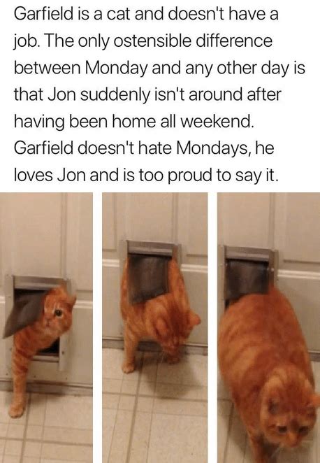 The Reason Why Garfield Hates Mondays R Garfield