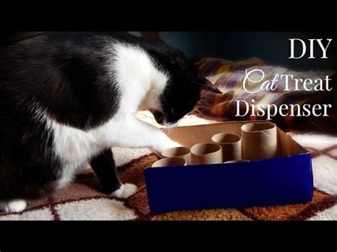 The Sweetest Journey Diy Cat Toys Cat Treat Dispenser Tutorial