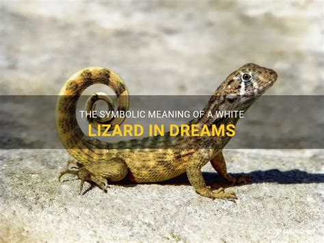 The Symbolic Meaning Of A White Lizard In Dreams Shunspirit