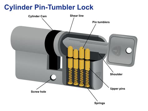 The Ultimate Guide To Euro Cylinder Locks Latham S Hardware