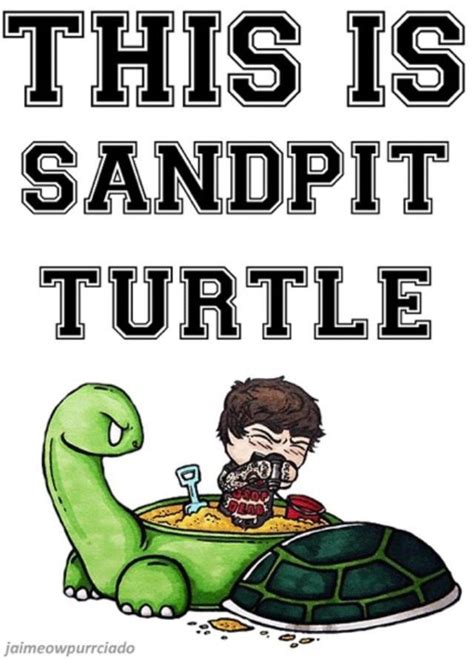 5 Ways to Care for a Sandpit Turtle