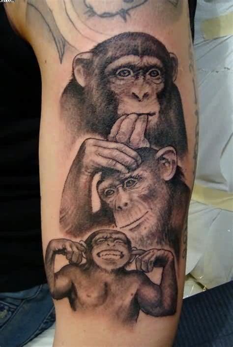 Three Wise Monkeys Tattoo On Biceps Tattoobite Com H Nh X M B L C H Nh X M H Nh X M Ng I Sao